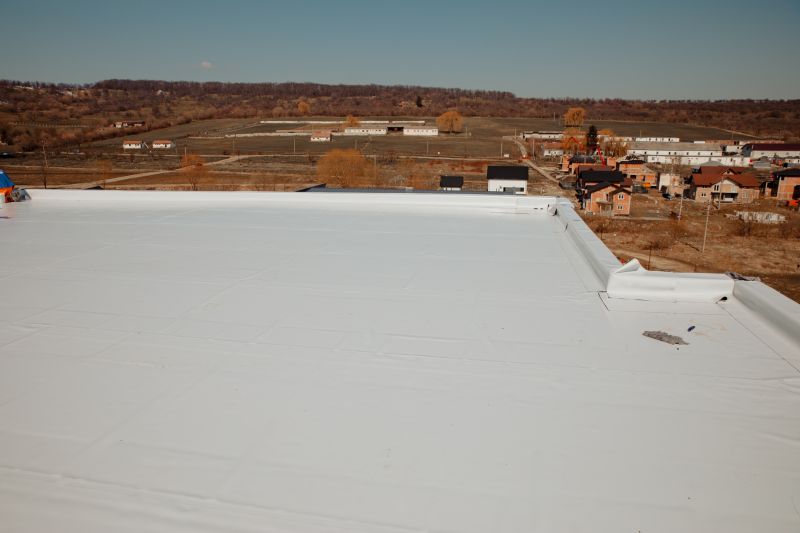 Flat Roof Coating